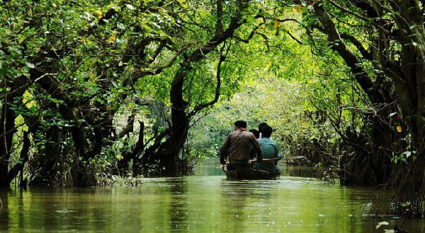 ৩ মাসের নিষেধাজ্ঞা শেষে আবারও খুলছে সুন্দরবনের প্রবেশ দ্বার