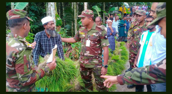 বন্যায় ক্ষতিগ্রস্ত কৃষকদের ধানের চারা উপহার দিলো বাংলাদেশ সেনাবাহিনী